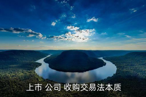  上市 公司 收購交易法本質