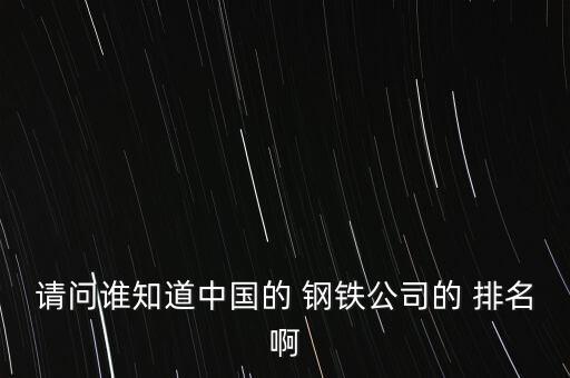 請(qǐng)問(wèn)誰(shuí)知道中國(guó)的 鋼鐵公司的 排名啊