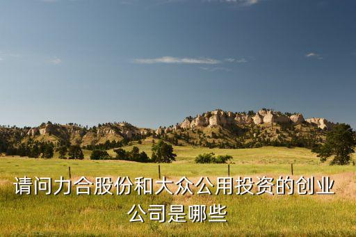 請(qǐng)問力合股份和大眾公用投資的創(chuàng)業(yè) 公司是哪些