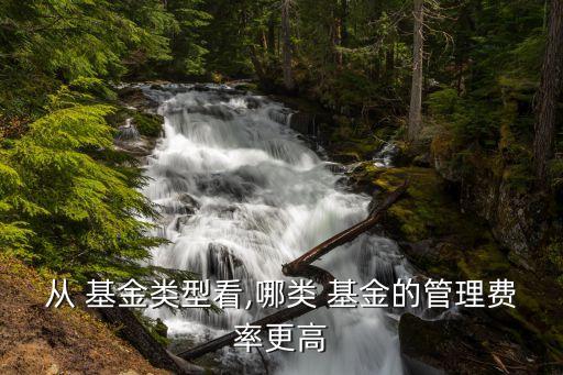 從 基金類型看,哪類 基金的管理費(fèi)率更高