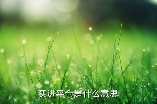 買進平倉是什么意思