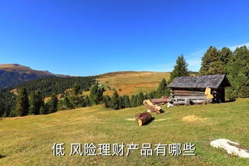 低 風險理財產品有哪些