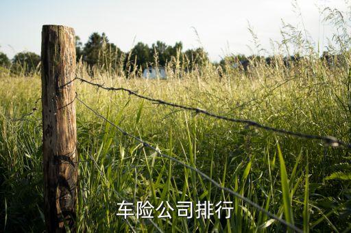 車險公司排行