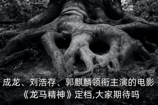 成龍、劉浩存、郭麒麟領銜主演的電影《龍馬精神》定檔,大家期待嗎