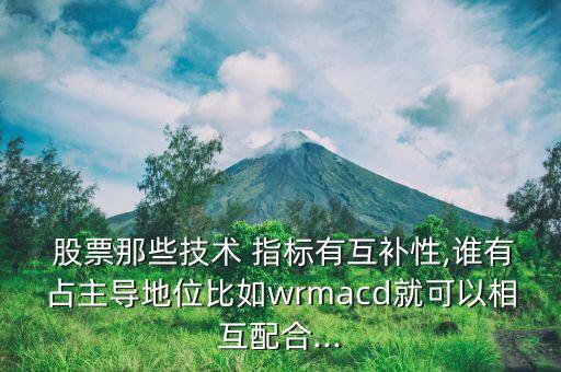  股票那些技術(shù) 指標(biāo)有互補性,誰有占主導(dǎo)地位比如wrmacd就可以相互配合...