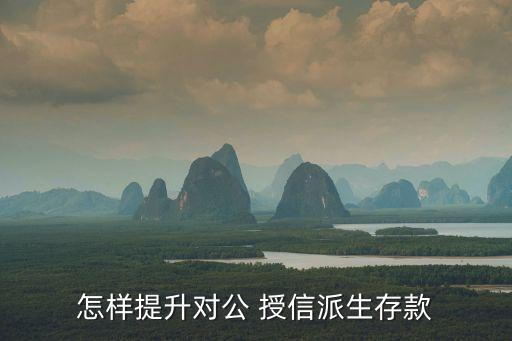 怎樣提升對(duì)公 授信派生存款