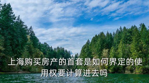  上海購買房產的首套是如何界定的使用權要計算進去嗎