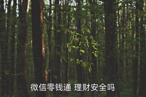 微信零錢通 理財安全嗎