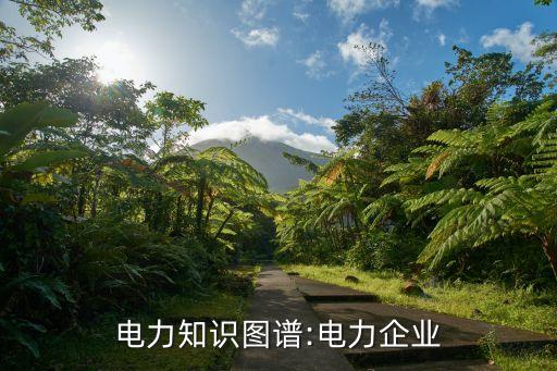 電力知識圖譜:電力企業(yè)