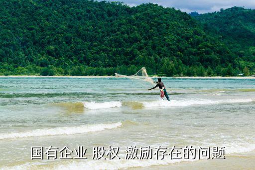 國有企業(yè) 股權(quán) 激勵(lì)存在的問題