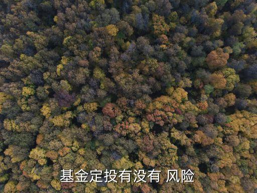 基金定投有沒有 風(fēng)險