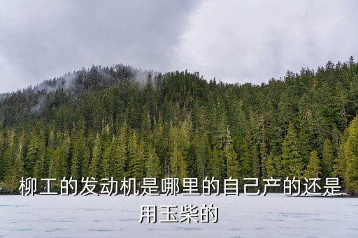  柳工的發(fā)動機(jī)是哪里的自己產(chǎn)的還是用玉柴的
