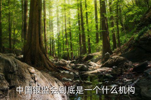 中國銀監(jiān)會到底是一個什么機(jī)構(gòu)