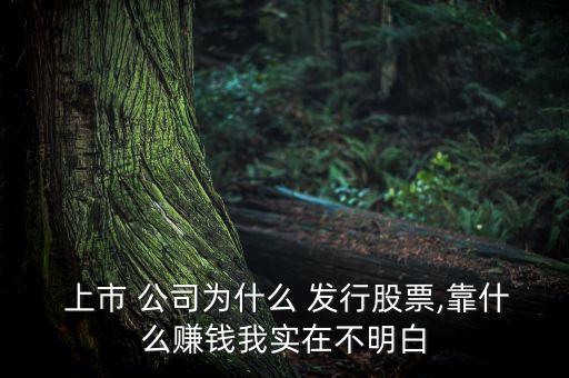  上市 公司為什么 發(fā)行股票,靠什么賺錢(qián)我實(shí)在不明白
