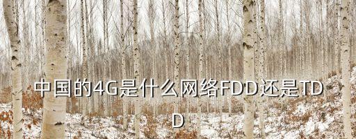 中國的4G是什么網(wǎng)絡(luò)FDD還是TDD