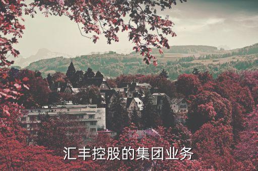 匯豐控股的集團業(yè)務(wù)