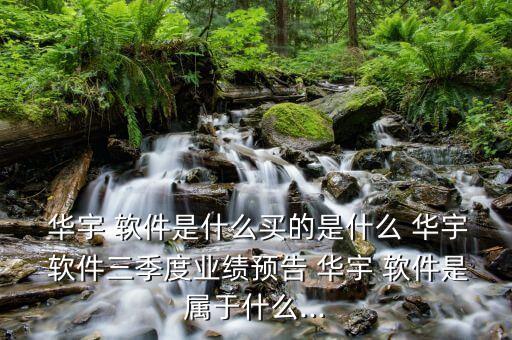  華宇 軟件是什么買的是什么 華宇 軟件三季度業(yè)績預(yù)告 華宇 軟件是屬于什么...