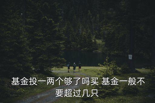  基金投一兩個(gè)夠了嗎買 基金一般不要超過(guò)幾只