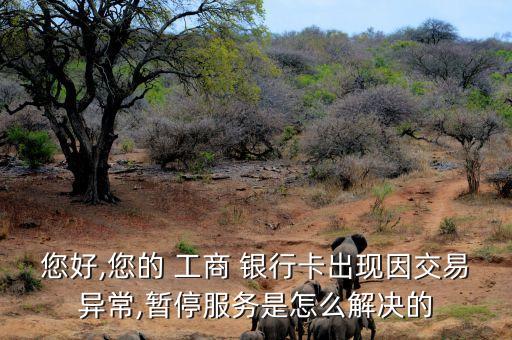 您好,您的 工商 銀行卡出現(xiàn)因交易異常,暫停服務是怎么解決的
