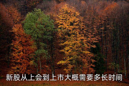 新股從上會到上市大概需要多長時間