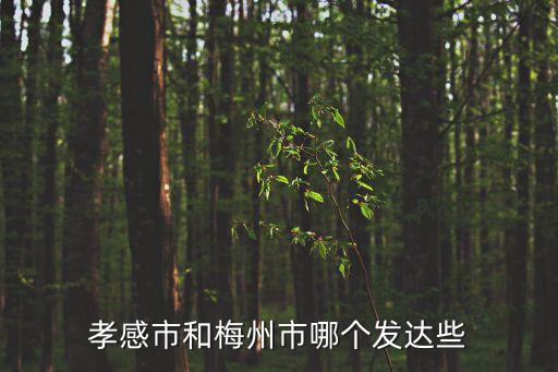 天津市龍祥建材建設(shè)工程有限公司