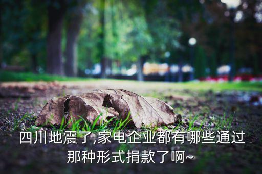 TcL集團四川分公司