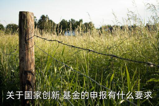 關(guān)于國家創(chuàng)新 基金的申報有什么要求