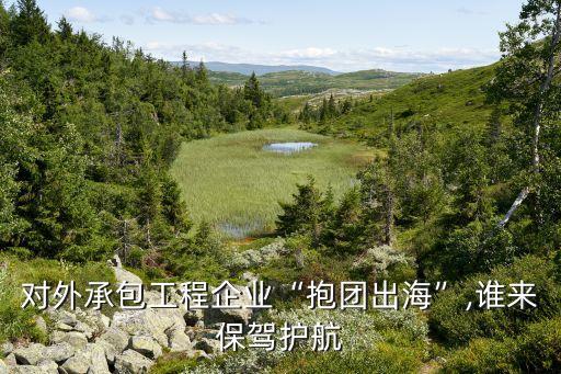 對外承包工程企業(yè)“抱團出?！?誰來保駕護航