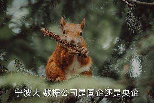 數據服務公司經營范圍,養(yǎng)老服務公司的經營范圍是什么