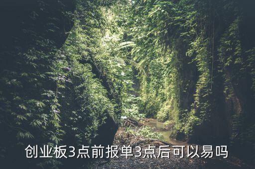 股票買(mǎi)入申報(bào)無(wú)效,為何股票買(mǎi)入申報(bào)無(wú)效