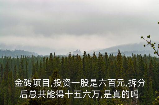  金磚項目,投資一股是六百元,拆分后總共能得十五六萬,是真的嗎