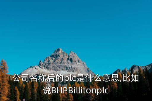 公司名稱后的plc是什么意思,比如說BHPBillitonplc