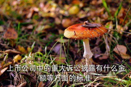  上市公司中的重大訴訟披露有什么金額等方面的標準