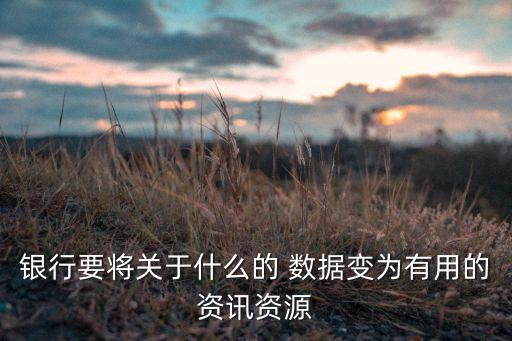 商業(yè)銀行信息化大數據,我國商業(yè)銀行不良貸款率數據