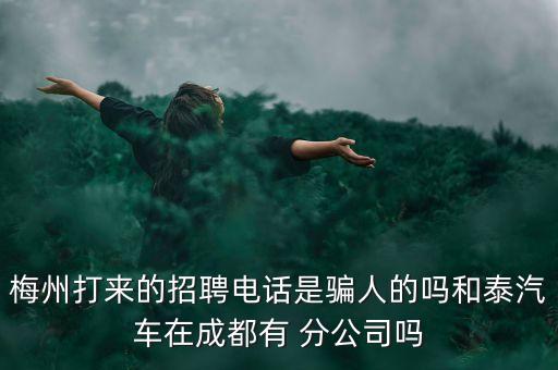 梅州打來的招聘電話是騙人的嗎和泰汽車在成都有 分公司嗎