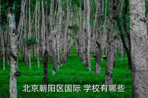 上海奉賢愛迪學(xué)校地址,北京朝陽(yáng)區(qū)愛迪國(guó)際學(xué)校地址