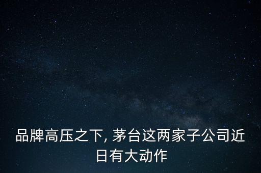 品牌高壓之下, 茅臺這兩家子公司近日有大動(dòng)作