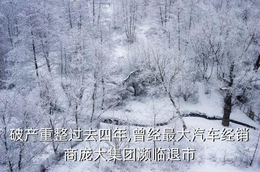 破產(chǎn)重整過去四年,曾經(jīng)最大汽車經(jīng)銷商龐大集團瀕臨退市