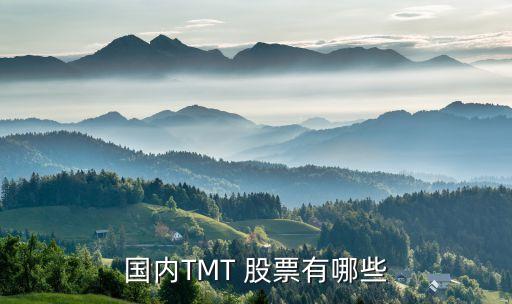 國(guó)內(nèi)TMT 股票有哪些