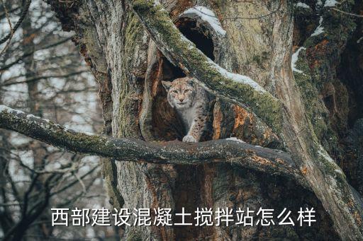 中建西部建設股份有限公司的性質(zhì)