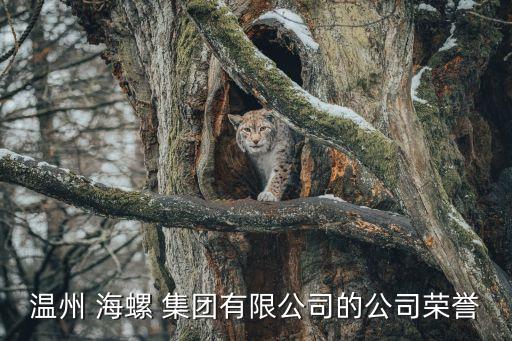 溫州 海螺 集團有限公司的公司榮譽