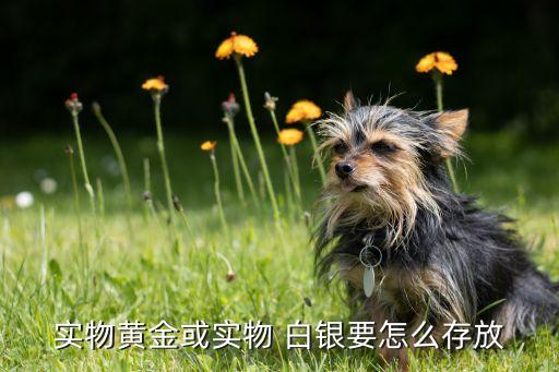 實物黃金或實物 白銀要怎么存放