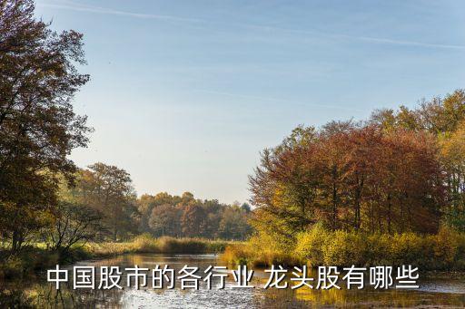 中國(guó)股市的各行業(yè) 龍頭股有哪些