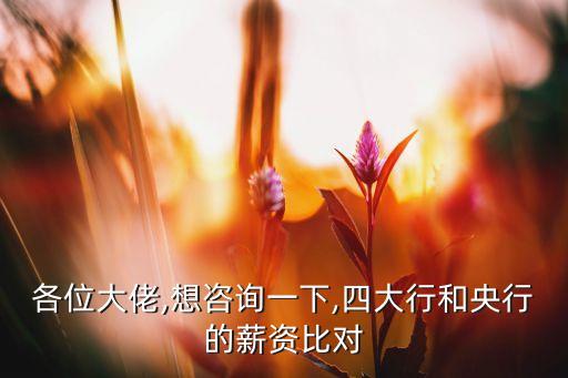 各位大佬,想咨詢一下,四大行和央行的薪資比對(duì)