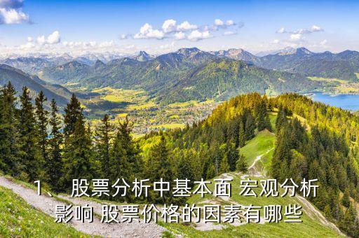 1、 股票分析中基本面 宏觀分析 影響 股票價格的因素有哪些