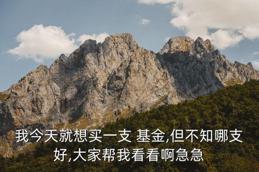 我今天就想買(mǎi)一支 基金,但不知哪支好,大家?guī)臀铱纯窗〖奔? class=