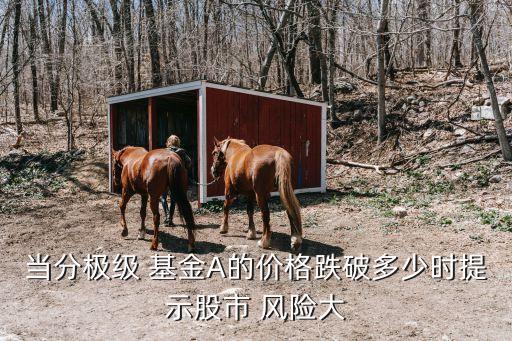 當(dāng)分極級(jí) 基金A的價(jià)格跌破多少時(shí)提示股市 風(fēng)險(xiǎn)大