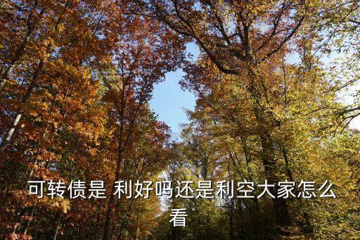 可轉(zhuǎn)債是 利好嗎還是利空大家怎么看