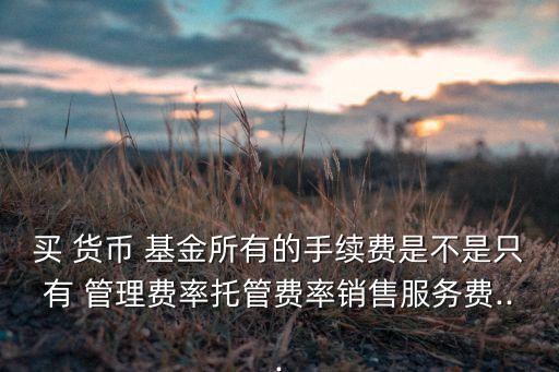 買(mǎi) 貨幣 基金所有的手續(xù)費(fèi)是不是只有 管理費(fèi)率托管費(fèi)率銷(xiāo)售服務(wù)費(fèi)...