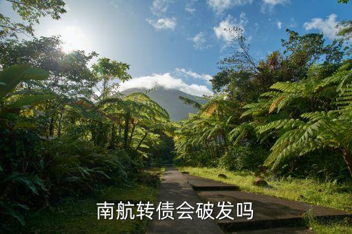 南航轉(zhuǎn)債會破發(fā)嗎